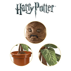 Licensed Harry Potter mandrake collectible for fans and collectors.