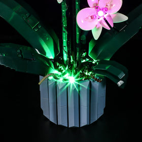 Lightailing gift-ready packaging ideal for holidays and gifts.