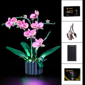 Lightailing provides a 2-year warranty and responsive support.