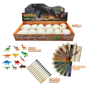 LIHBCAIYI Dino Eggs Dig Kit dinosaur-illustrations boost context for imaginative exploration.
