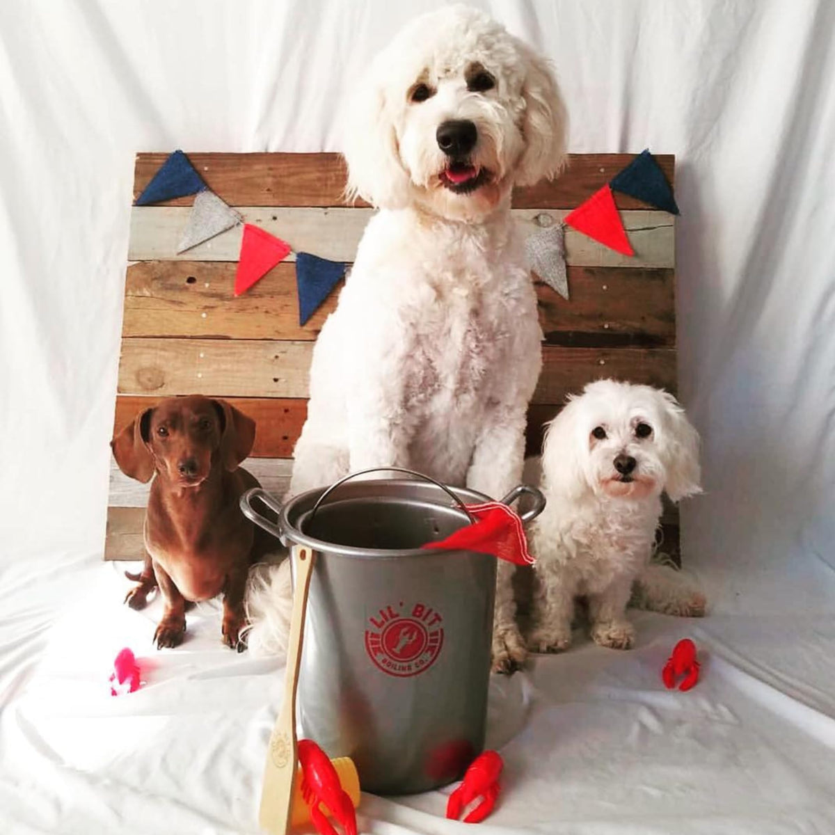 Lil' Bit Boiling Co. playset is ideal for birthdays and gatherings.