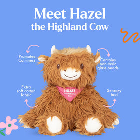 Hazel Highland Cow close-up showing soft plush fur and inviting hug.