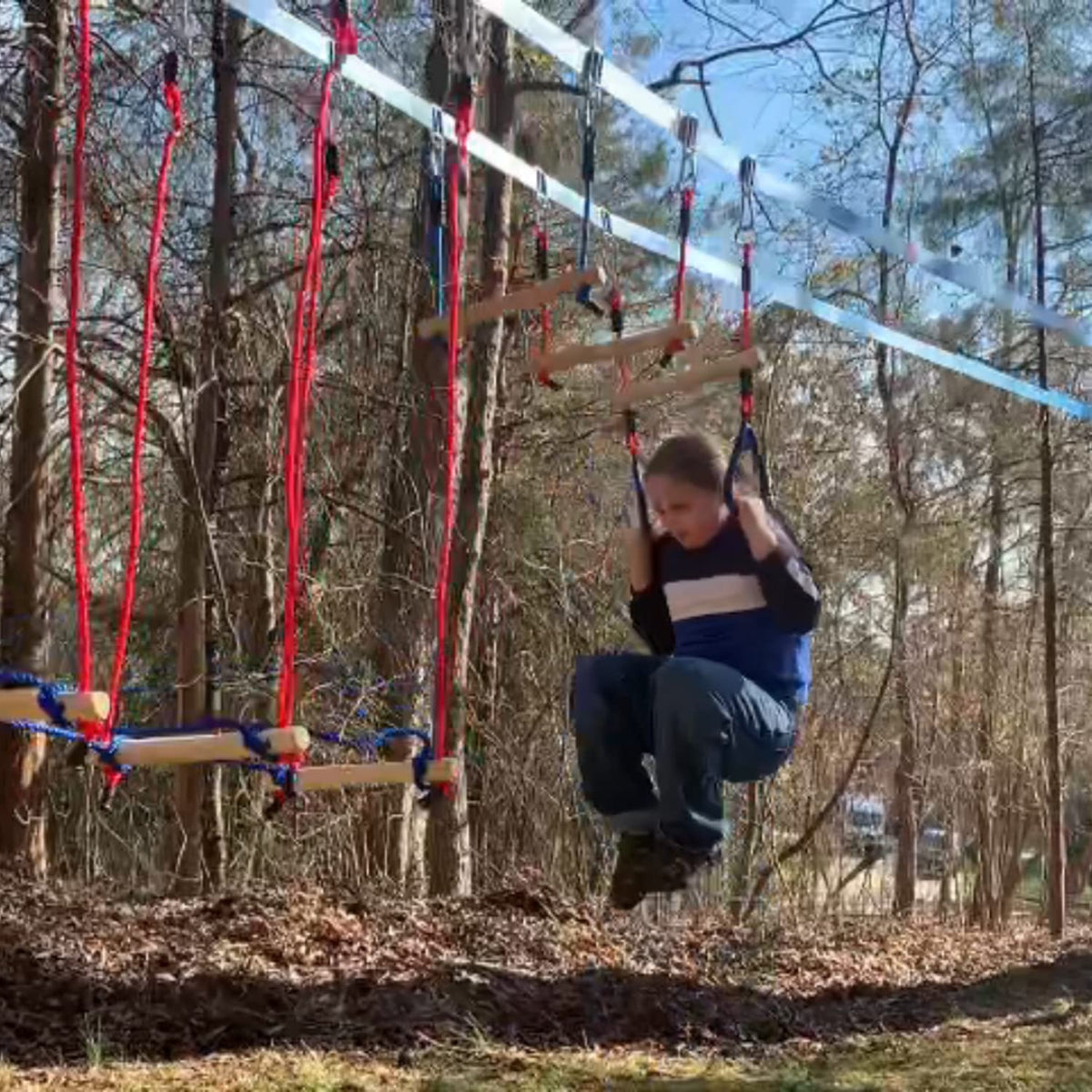 Lily's Things brake-tested trapeze bar rated to 250 lbs