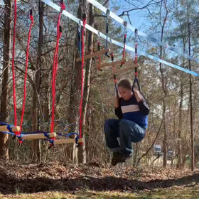Lily's Things brake-tested trapeze bar rated to 250 lbs