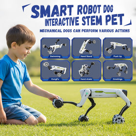 lisfiva stunt robot dog showing kung fu moves for action-packed fun