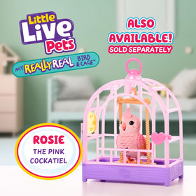 Indie in its colorful cage ready for portable, display-ready play