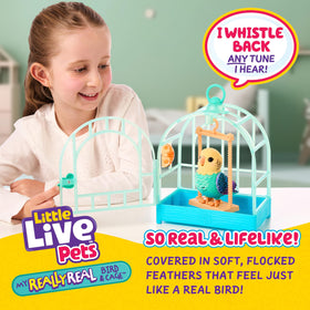 Indie perched inside a colorful Little Live Pets cage for display and play