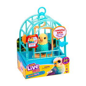 Little Live Pets Indie bird close-up with flocked feathers for realism and play