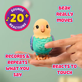 Indie record button demonstrating voice capture for repetition feature