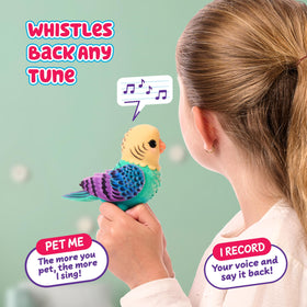 Indie whistle button showing musical reply for interactive fun