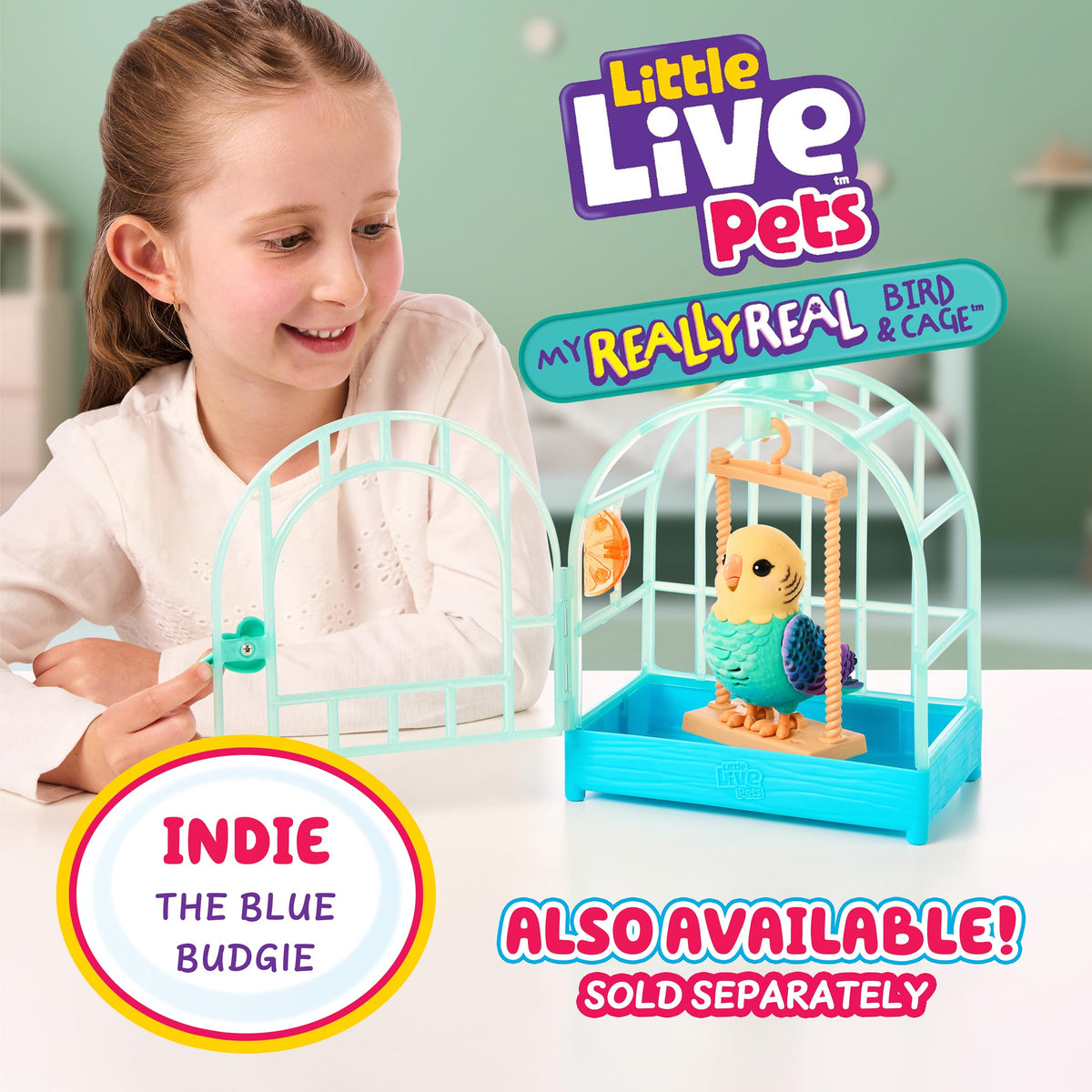 Colorful cage with perch for display-ready play and portability
