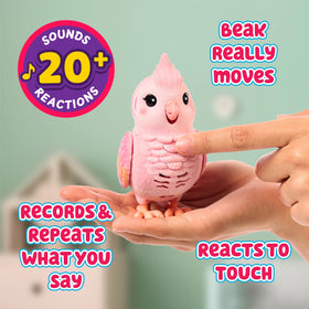 Top button records your voice for Rosie to repeat back