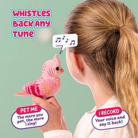 Bottom button whistles tunes that Rosie echoes in response