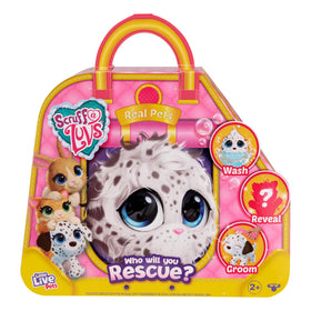 Little Live Pets Scruff-a-Luvs mystery pet box reveals a cuddly surprise.