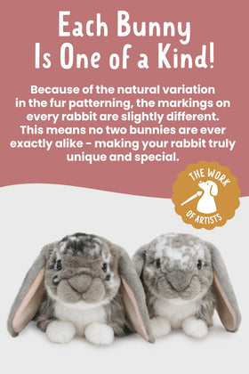 Living Nature educational tag on rabbit toy for learning about woodland species