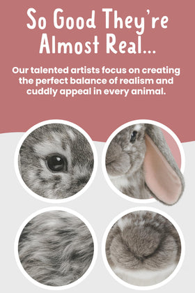 Living Nature long lop ears highlight authentic Dutch rabbit design