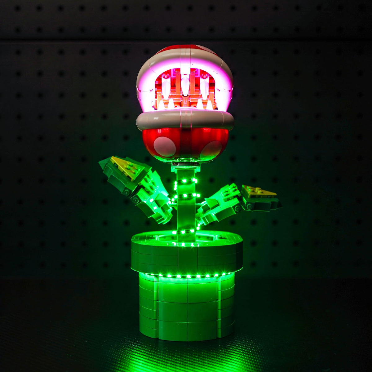 LocoLee kit reveals interior details with vibrant, precise illumination.