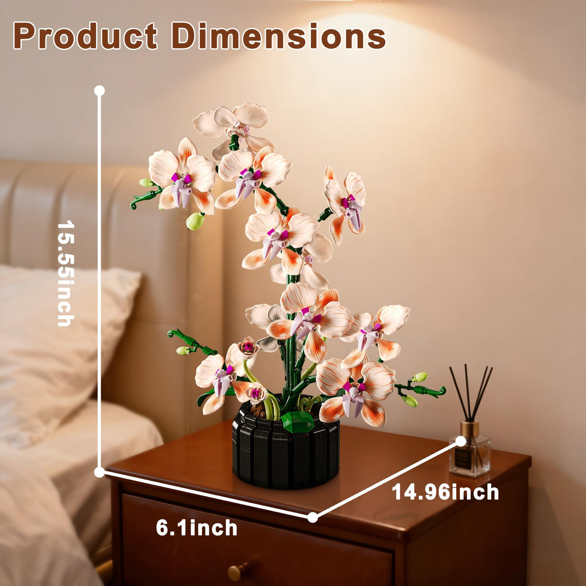 Lodikisbay Orchid color gradient on petals adds depth