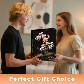 Lodikisbay Orchid gift-ready packaging makes a thoughtful gift