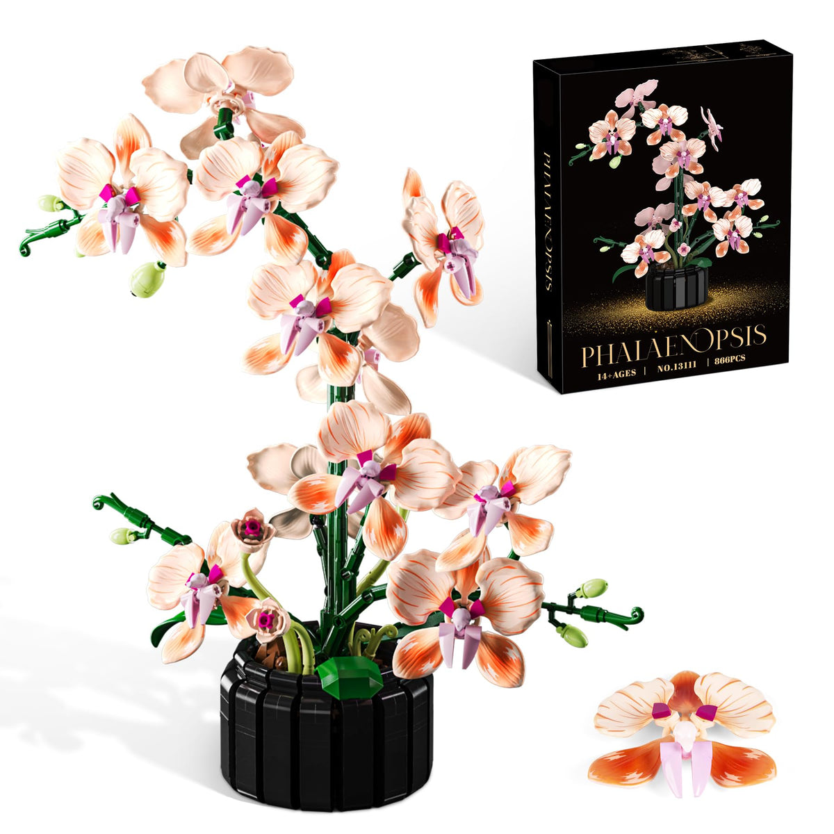 Lodikisbay Orchid building set petal detail for lifelike display