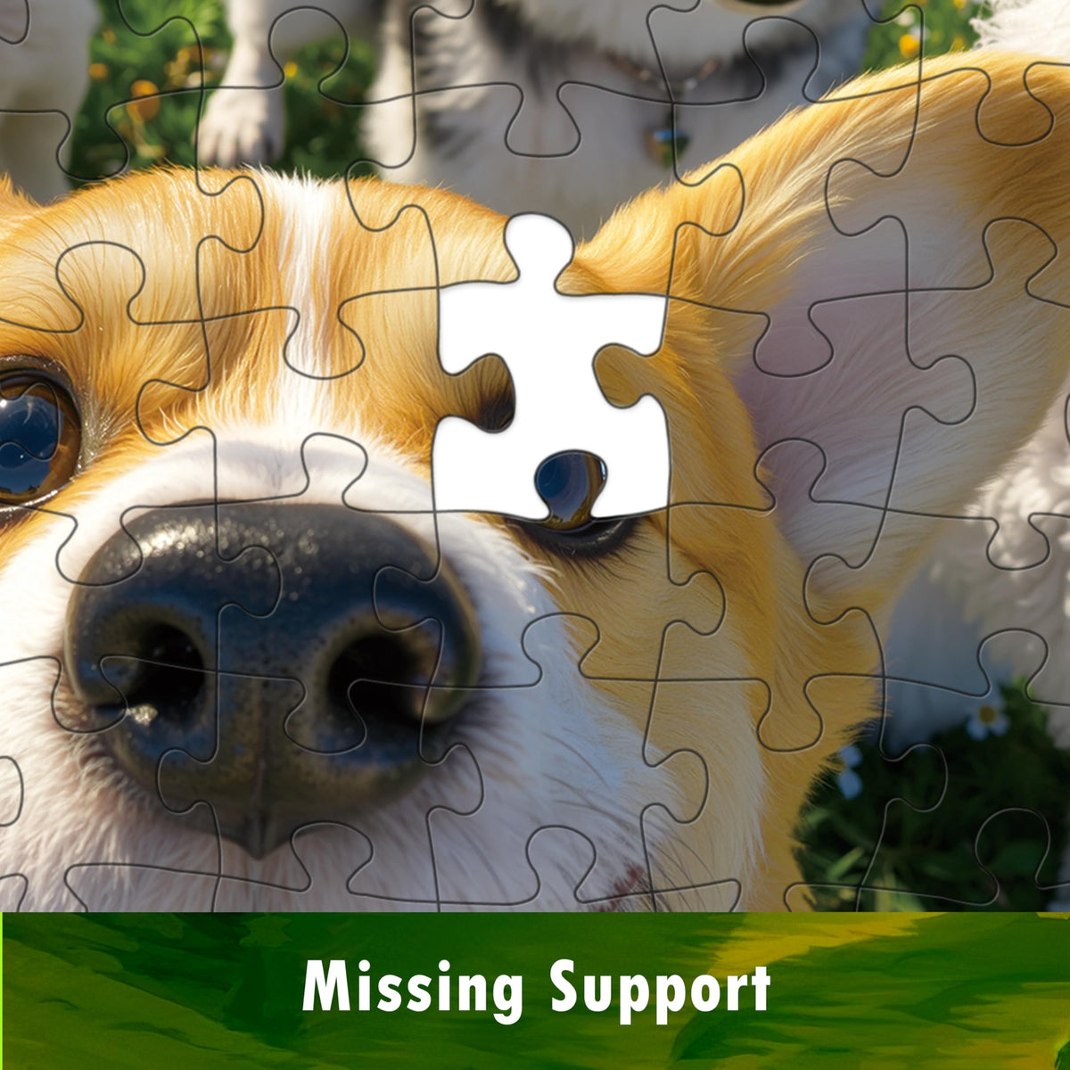 Lojeton puzzle includes sturdy box and poster for gifting.