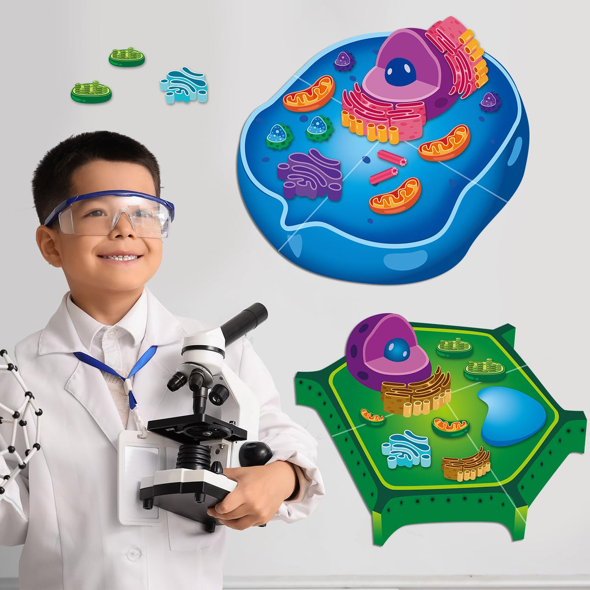 Lonfliness teacher must-haves kit simplifies science lesson setup.