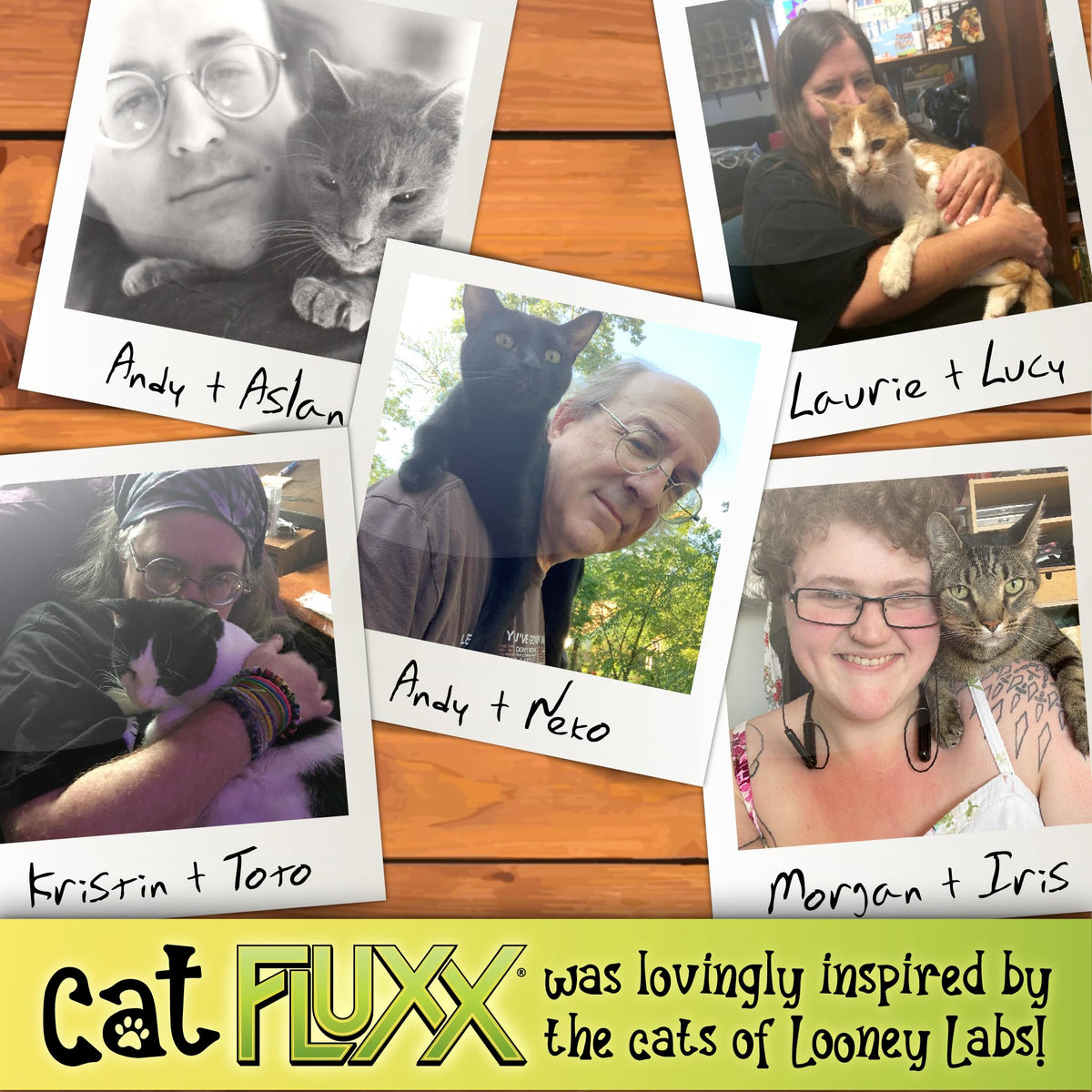 Looney Labs Cat Fluxx empty food bowl creeper sparks chaos