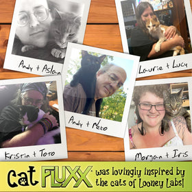 Looney Labs Cat Fluxx empty food bowl creeper sparks chaos