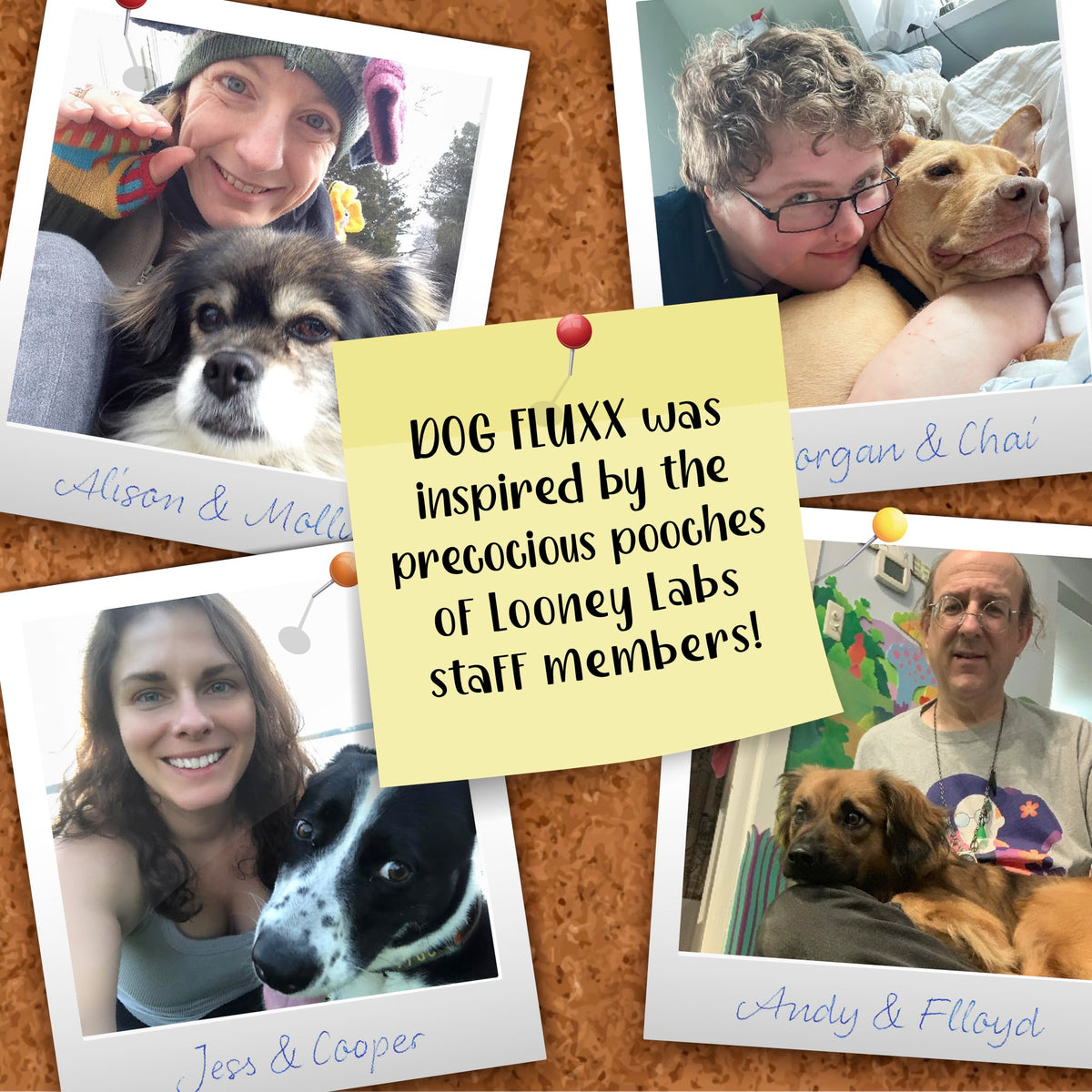 Great gift for Fluxx fans and dog lovers alike.