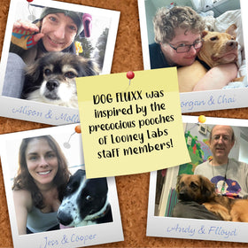 Great gift for Fluxx fans and dog lovers alike.