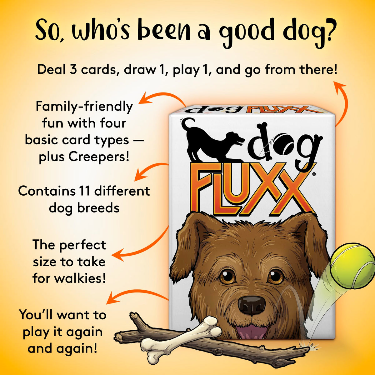 Players enjoy a round of Looney Labs Dog Fluxx during a lively game night.