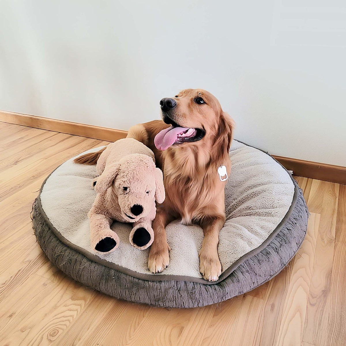 LotFancy surface-washable 26-inch dog plush easy cleaning after adventures