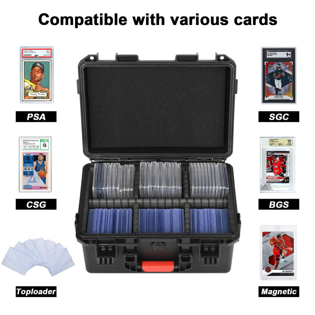 LOTOCASE storage box open lid shows organized toploader slots.