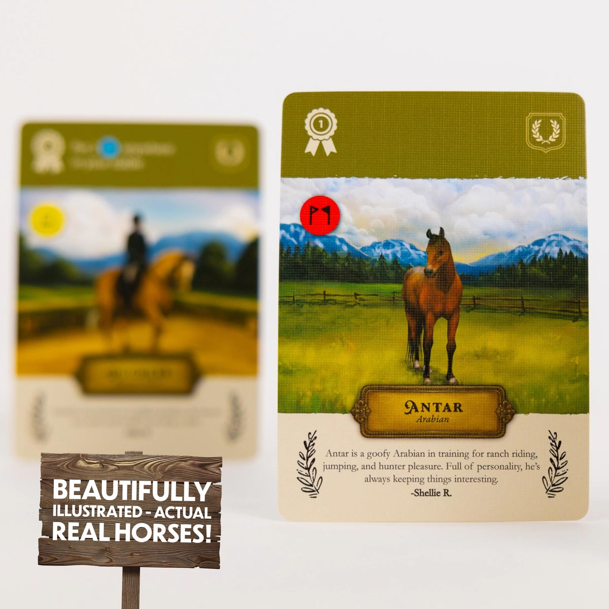 Lovemore Games Stable Times durable components ready for many family sessions.