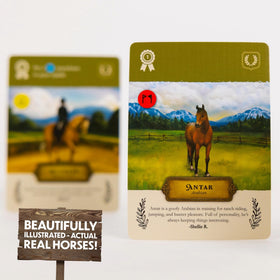 Lovemore Games Stable Times durable components ready for many family sessions.