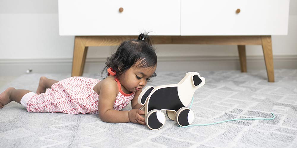 Lovevery The Pull Pup open-ended play on various surfaces like floors and rugs