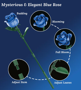 Loyratche navy matte finish rose adds modern gothic flair.