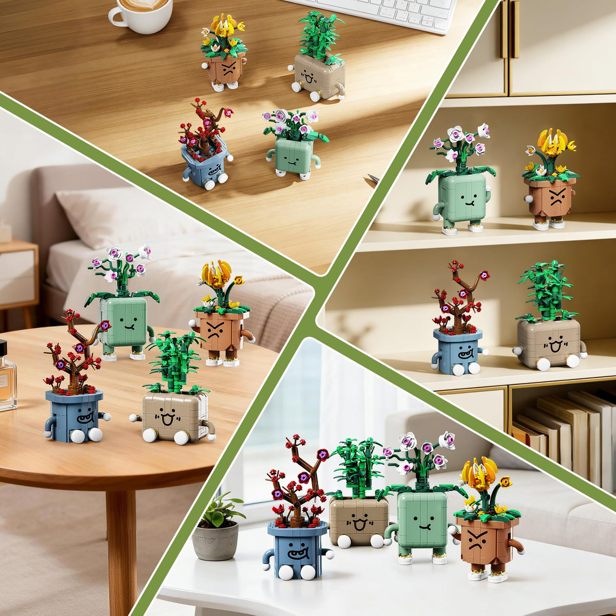 Loyratche chrysanthemum pot bonsai showcases resilient elegance for classrooms.