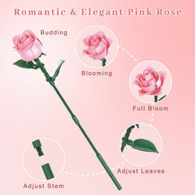 Loyratche navy matte finish highlights a bold, elegant rose look