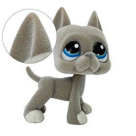 LPSCB safe materials offering a durable, pet-friendly texture for play sessions.