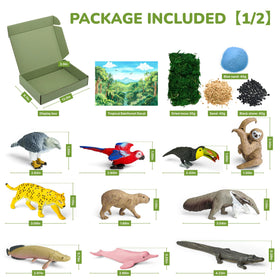 Lucipaw display box provides organized storage and a ready-made diorama base.