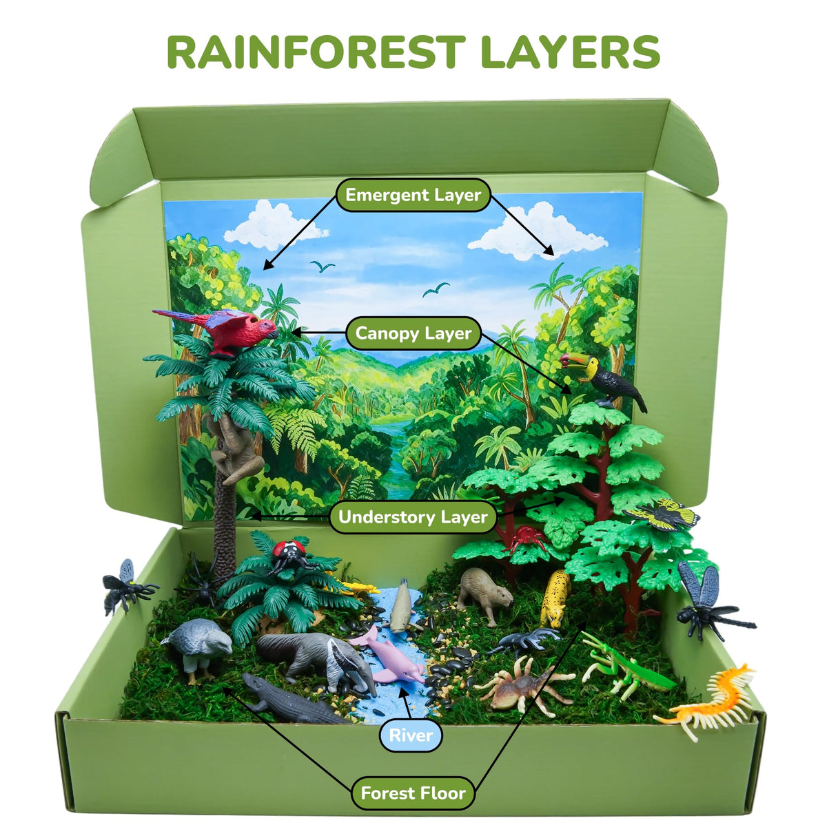 Lucipaw miniature trees for vertical-layer rainforest scenes and classroom dioramas.