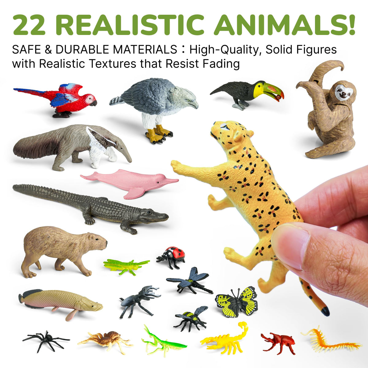 Lucipaw rainforest insects miniatures ideal for hands-on science displays and storytelling.