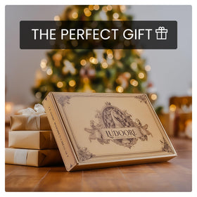 Ludoore gift-ready packaging ideal for family game night and beginners