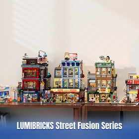 Lumibricks printed bricks and guides support precise assembly.