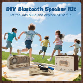 LumWuds kit wiring and circuit boards enable practical electronics learning.