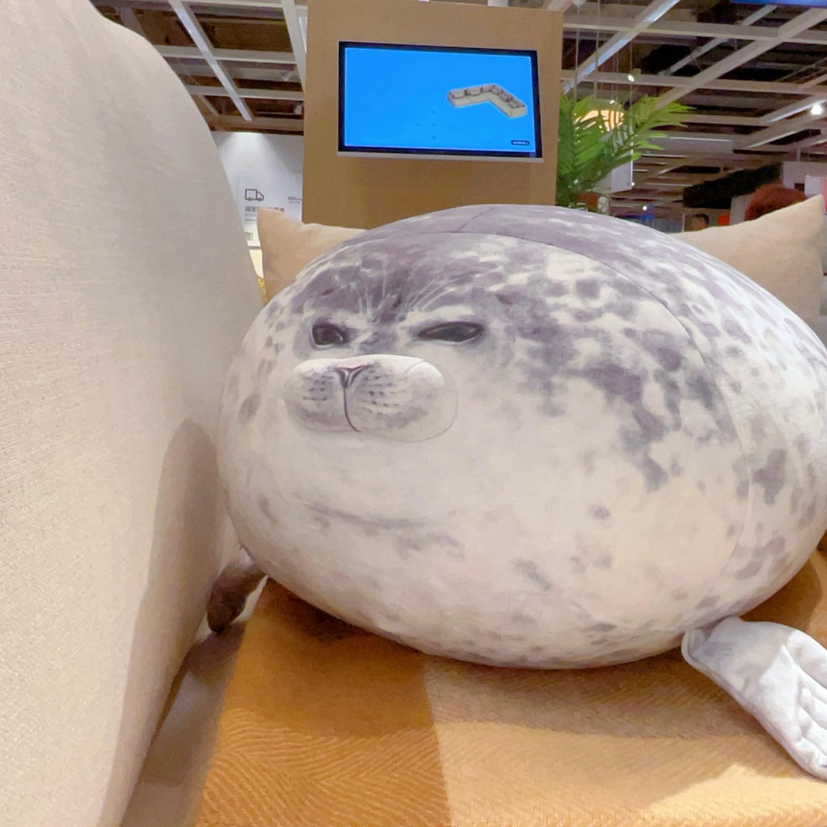 LUXSIT seal pillow sun-dry recovery restores fullness after unpacking.