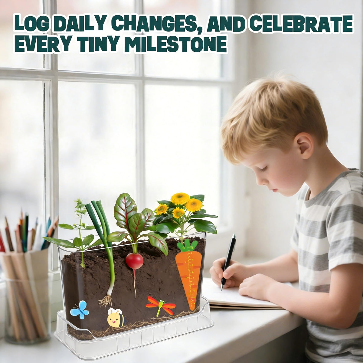 LYKOCLEAN Illustrated Manual uses colorful steps for simple, engaging learning.