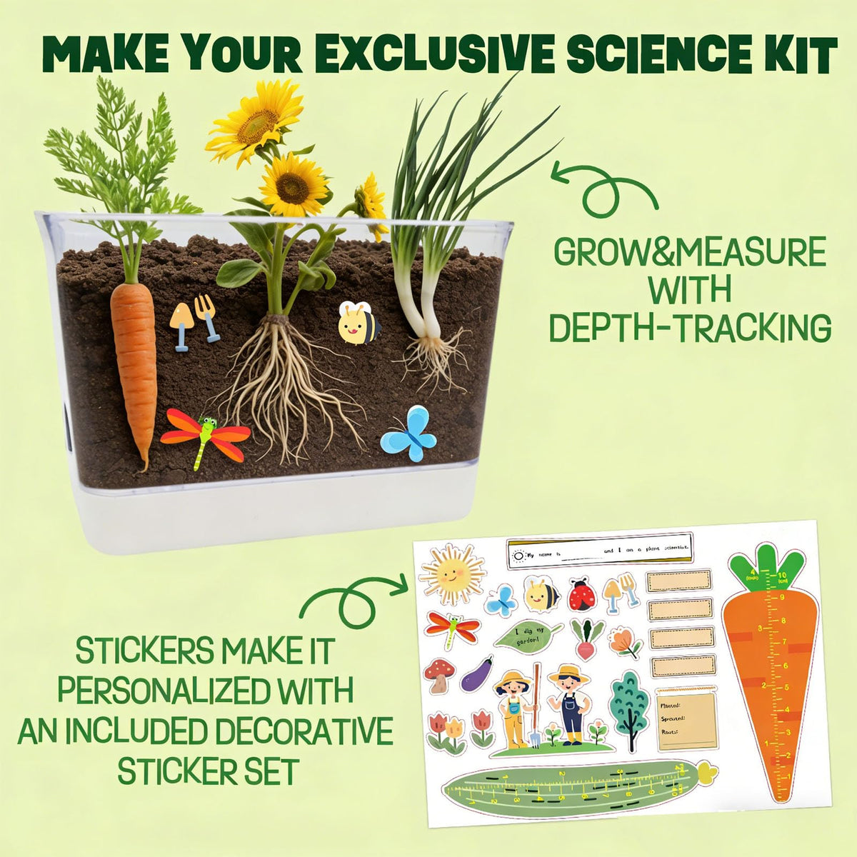 LYKOCLEAN Large Root Viewer Kit colorful stickers help kids measure root length creatively.