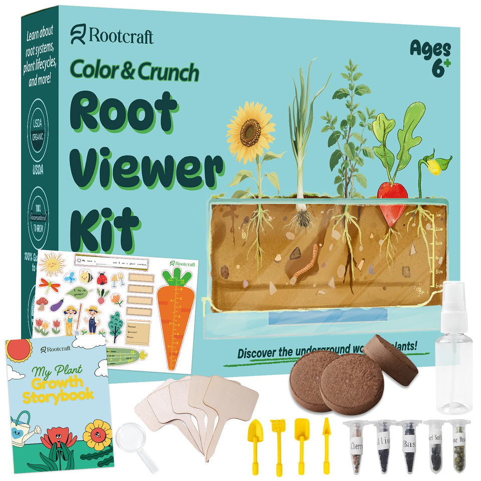 LYKOCLEAN Root Viewer Window lets kids observe root growth in real time for hands-on learning.